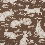COTTONTAILS Fabric – CHESTNUT | Schumacher | Wallpaper Twins COTTONTAILS fabric CHESTNUT color by Schumacher
