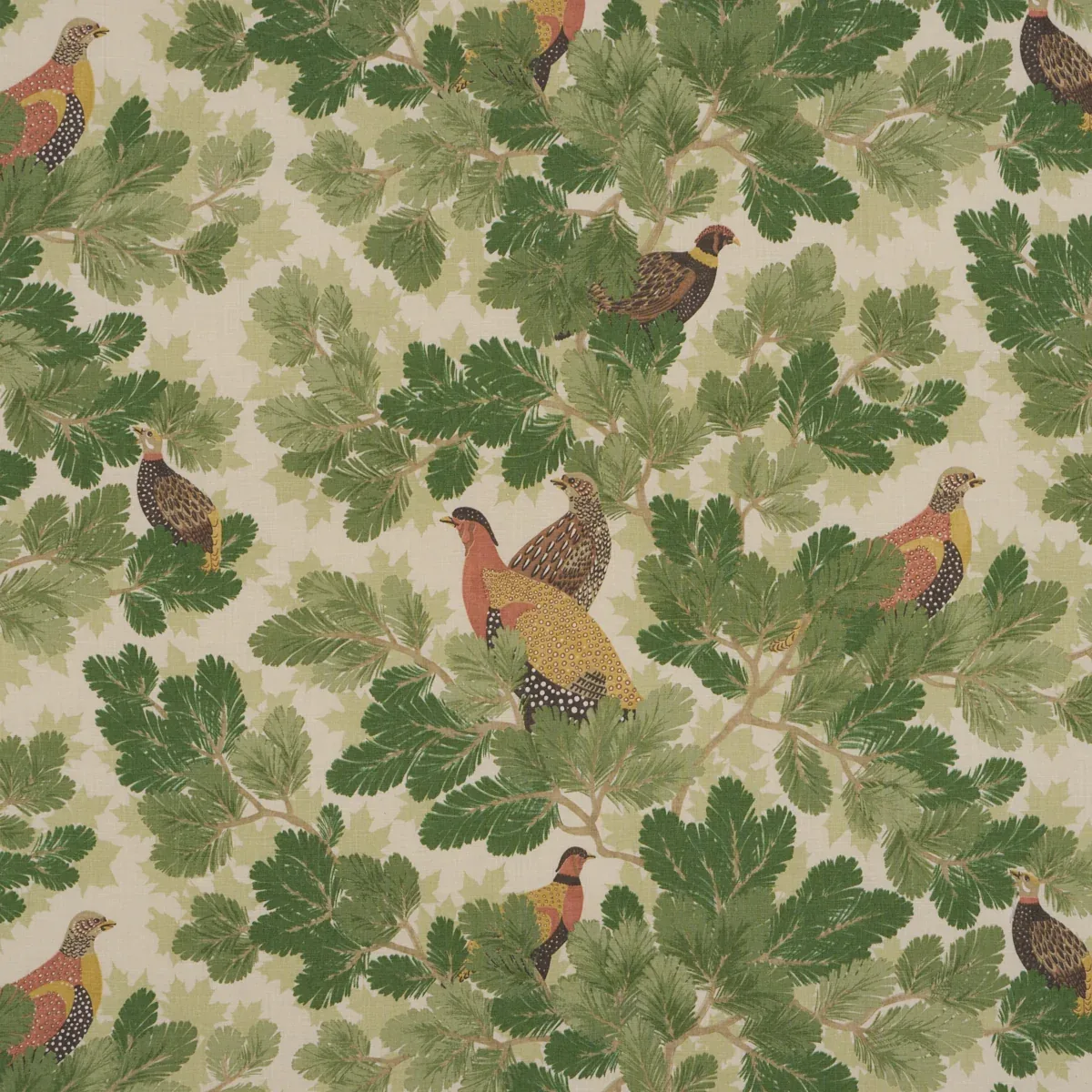 182250 | COVEY HEDGE – PINE