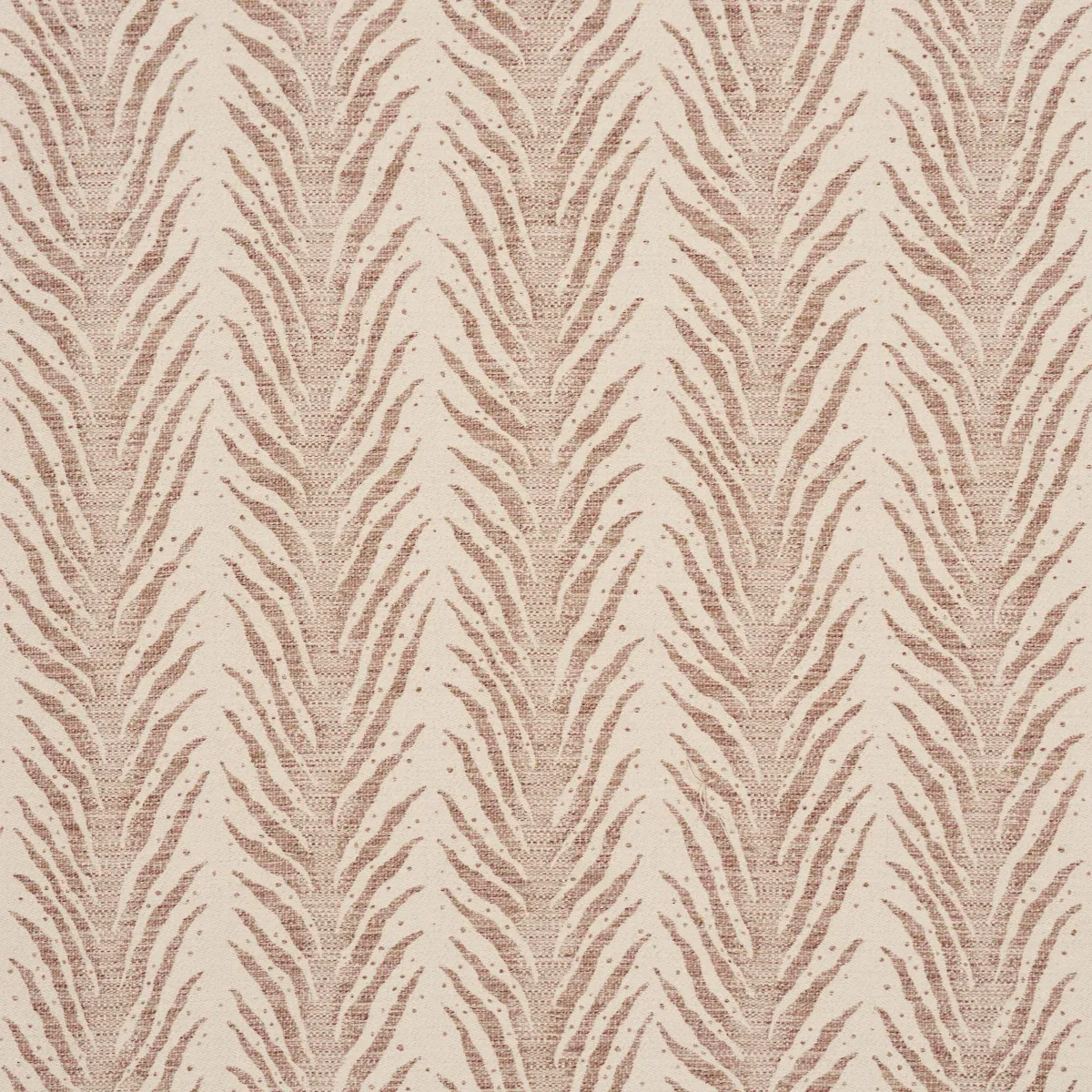75454 | CREEPING FERN – MEDITERRANEAN SPICE