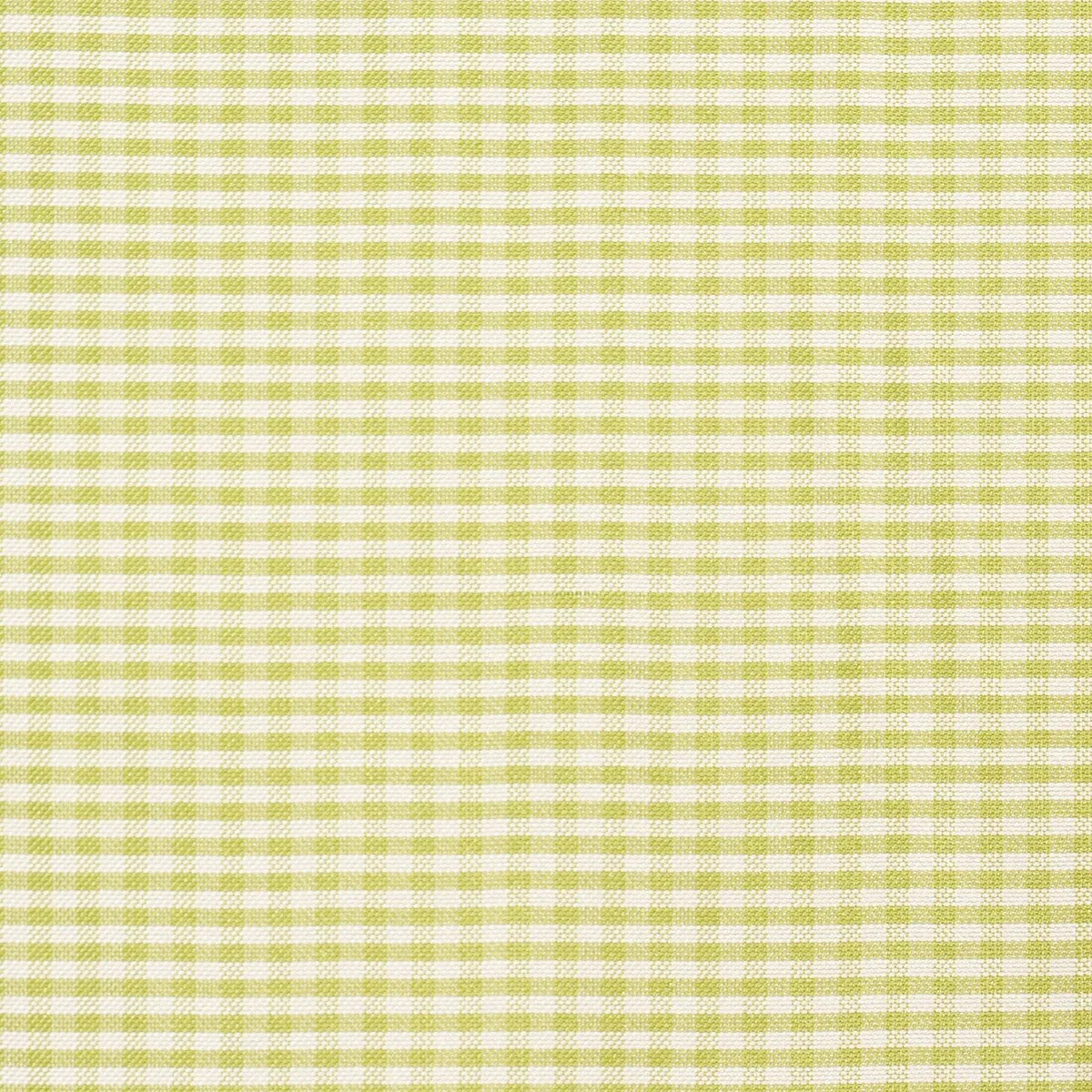 DALTON SILK GINGHAM fabric CHARTREUSE color by Schumacher