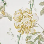 DAYDREAM Fabric – CITRON | Schumacher | Wallpaper Twins DAYDREAM fabric CITRON color by Schumacher