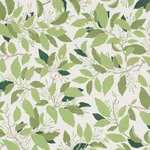 DOGWOOD LEAF fabric IVORY color by Schumacher