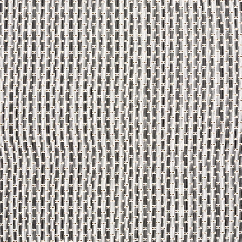 DOTTED STRIPE fabric CARBON color by Schumacher