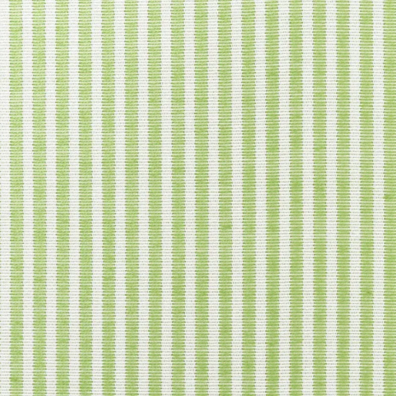73151 | EASTON STRIPE INDOOR/OUTDOOR – LEAF