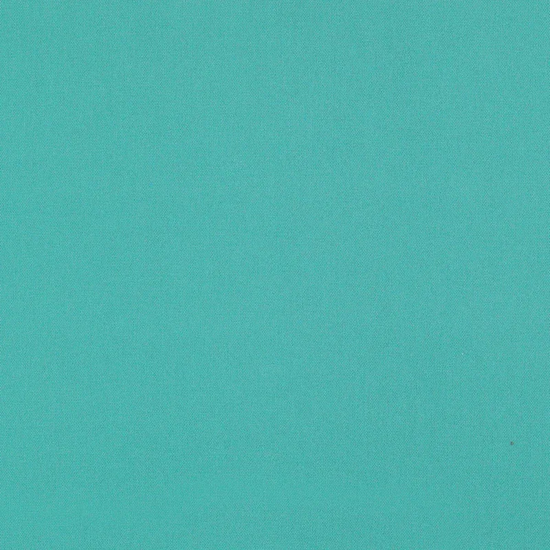 ELLIOTT BRUSHED COTTON fabric AQUA color by Schumacher