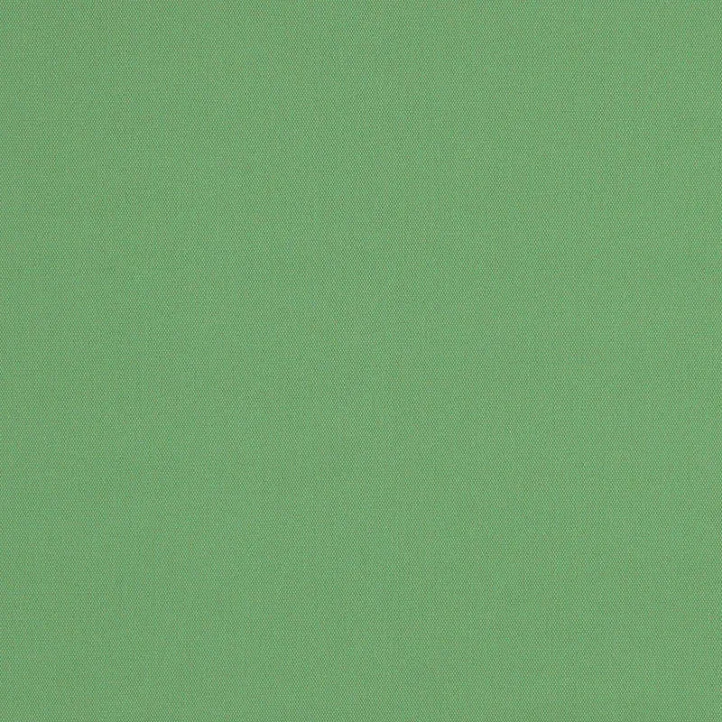 ELLIOTT BRUSHED COTTON fabric BASIL color by Schumacher
