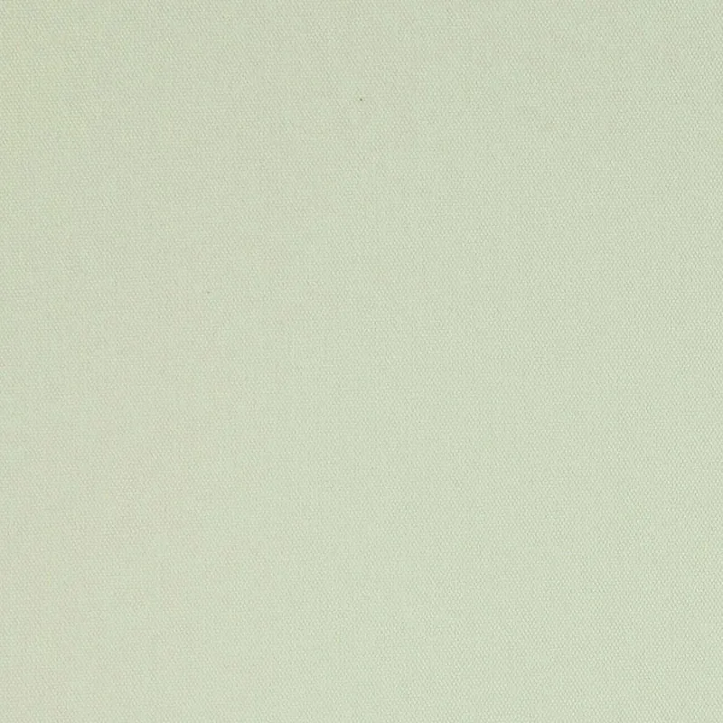 ELLIOTT BRUSHED COTTON fabric CHAMOIS color by Schumacher