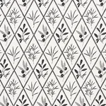 ENDIMIONE Fabric – CARBON | Schumacher | Wallpaper Twins ENDIMIONE fabric CARBON color by Schumacher