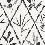 ENDIMIONE Fabric – CARBON | Schumacher | Wallpaper Twins ENDIMIONE fabric CARBON color by Schumacher