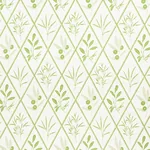 ENDIMIONE Fabric – LEAF | Schumacher | Wallpaper Twins ENDIMIONE fabric LEAF color by Schumacher