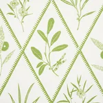 ENDIMIONE Fabric – LEAF | Schumacher | Wallpaper Twins ENDIMIONE fabric LEAF color by Schumacher