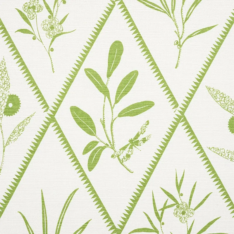 ENDIMIONE Fabric – LEAF | Schumacher | Wallpaper Twins ENDIMIONE fabric LEAF color by Schumacher