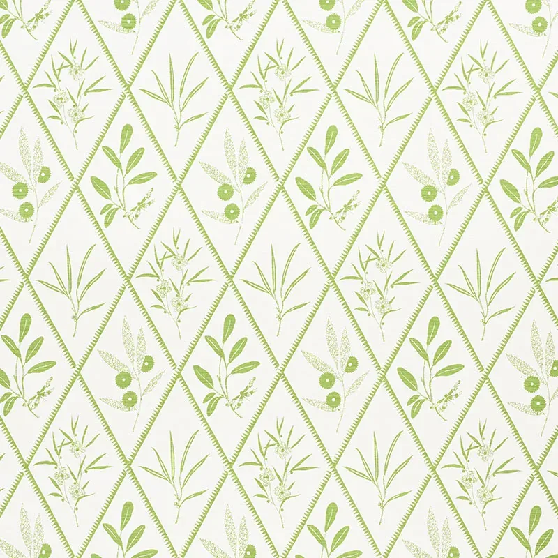 177641 | ENDIMIONE – LEAF