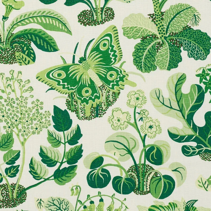 176185 | EXOTIC BUTTERFLY – LEAF