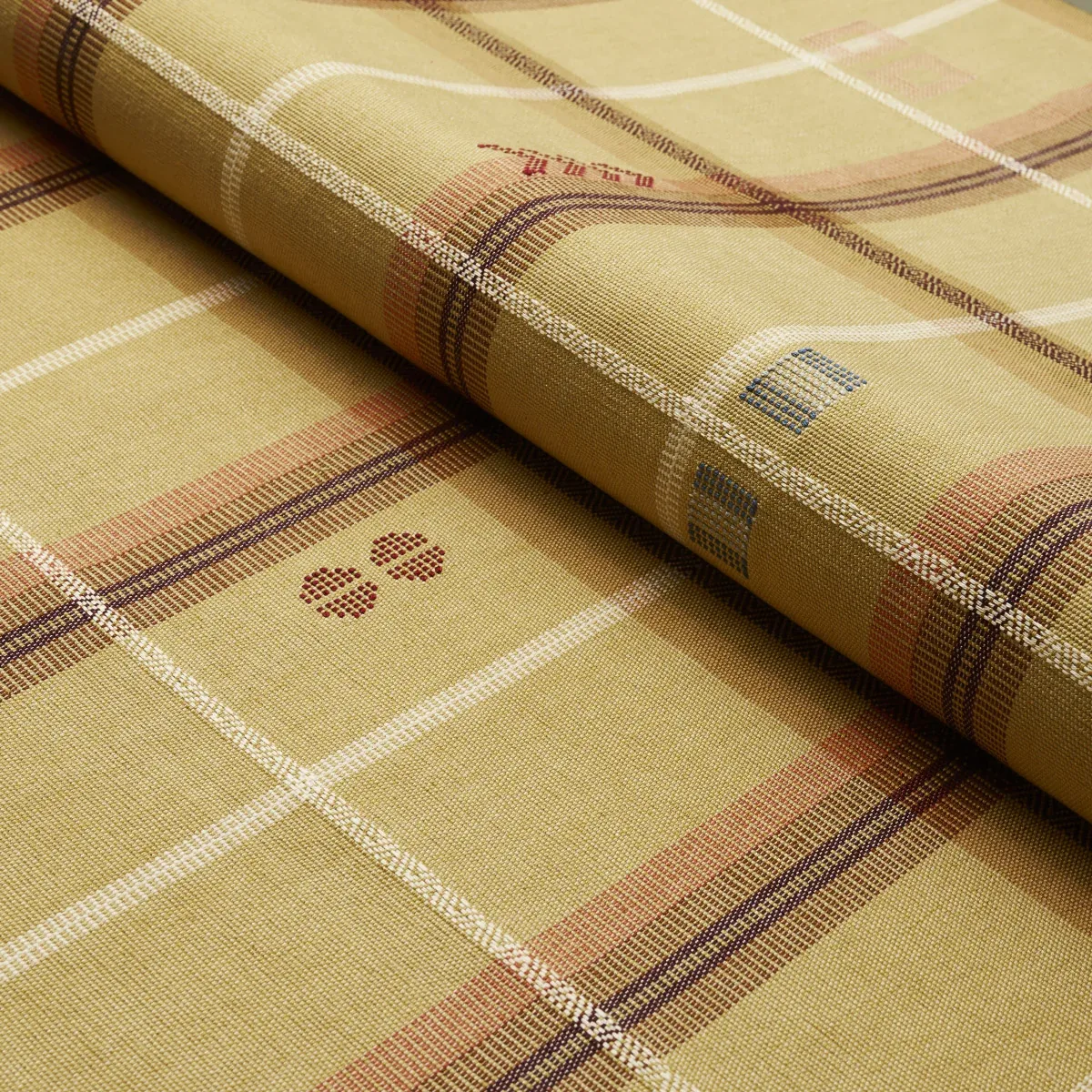 FABLE fabric DUNE color by Schumacher