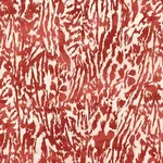 FELINE Fabric – ALIZARIN | Schumacher | Wallpaper Twins FELINE fabric ALIZARIN color by Schumacher