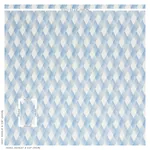 FETLOCK fabric BLUE color by Schumacher