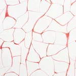 FILIGREE Fabric – CORAL | Schumacher | Wallpaper Twins FILIGREE fabric CORAL color by Schumacher