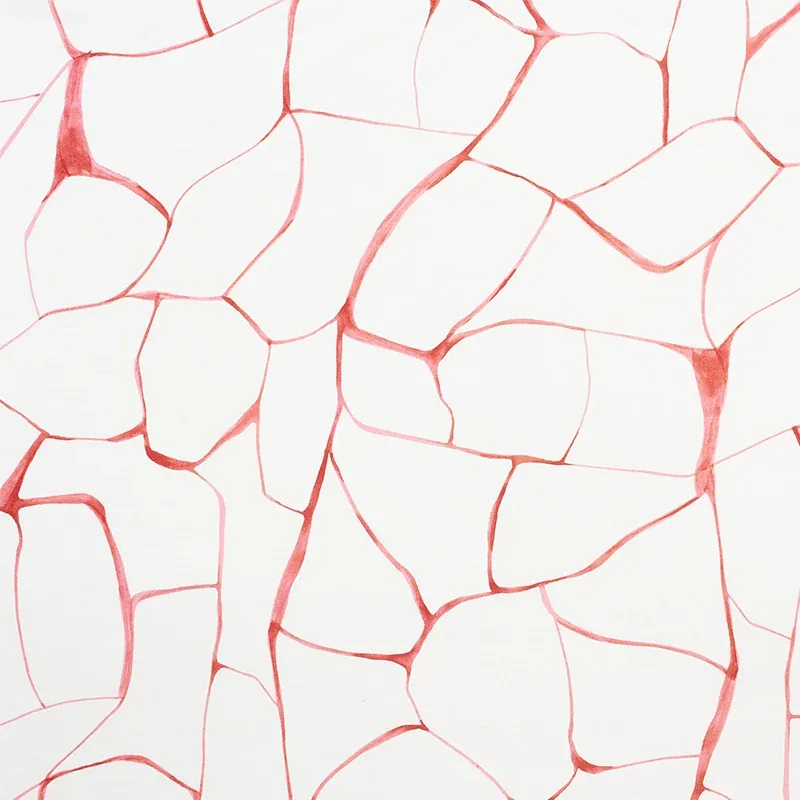 FILIGREE fabric CORAL color by Schumacher