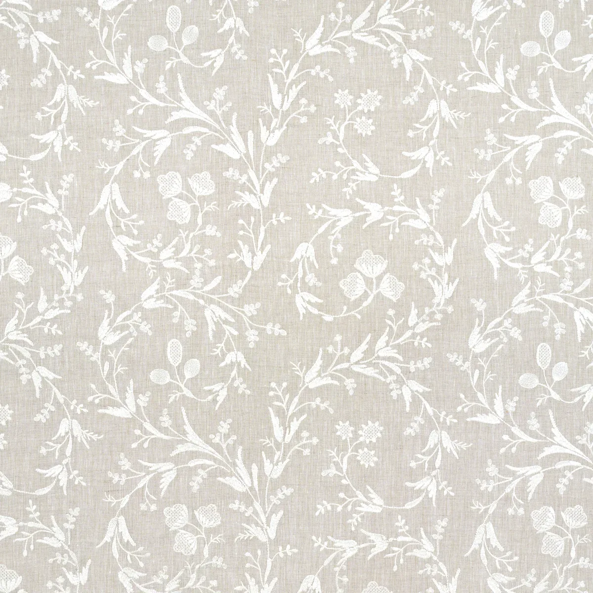Fiorentina Embroidered Sheer fabric OAT color by Schumacher