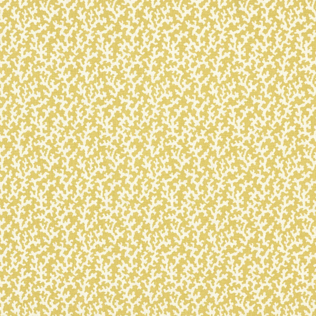 FOLLY Fabric – MIMOSA | Schumacher | Wallpaper Twins FOLLY fabric MIMOSA color by Schumacher
