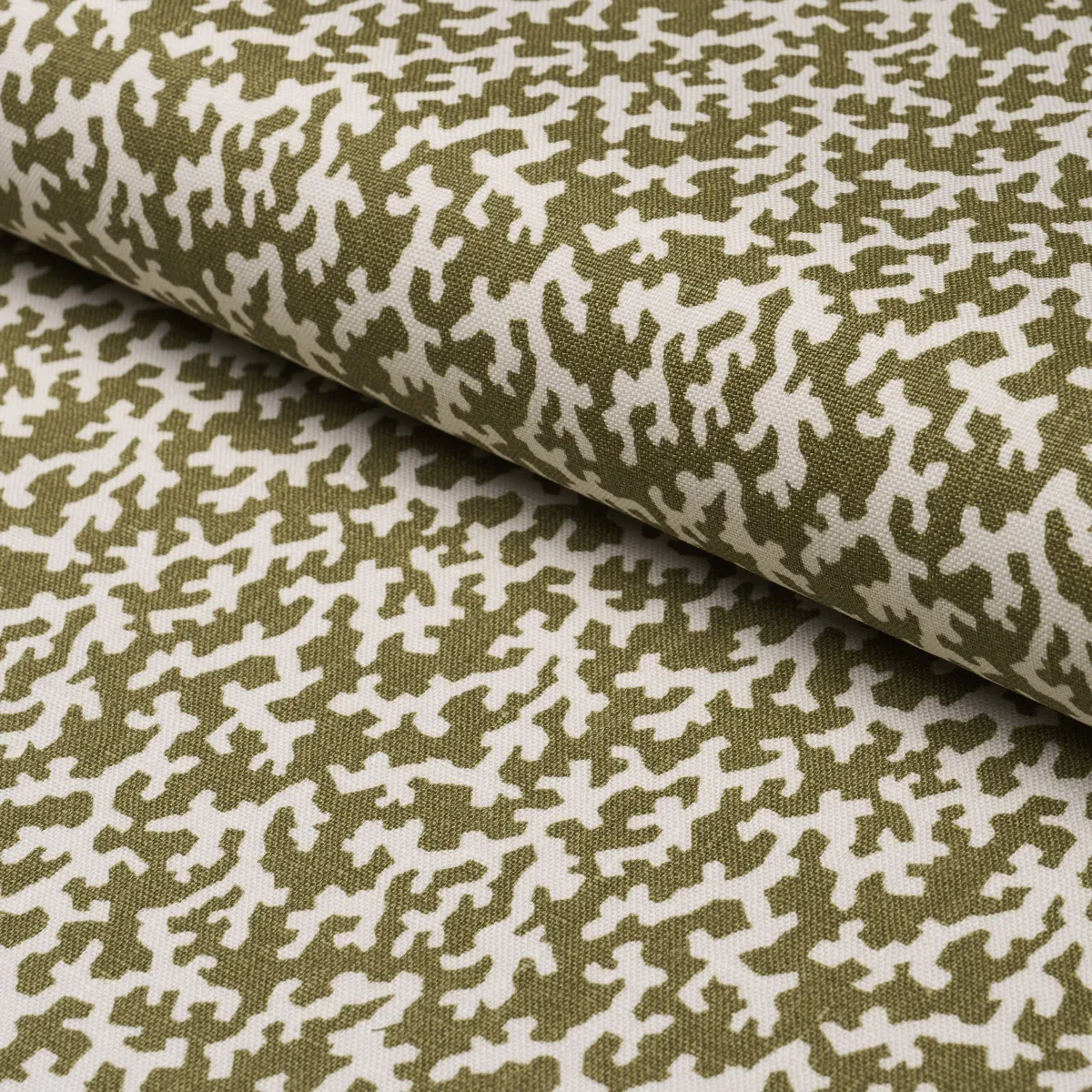 176129 | FOLLY – OLIVE