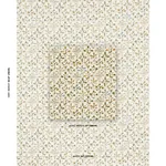 FRANCES FLORAL INDOOR/OUTDOOR fabric DOCUMENT color by Schumacher