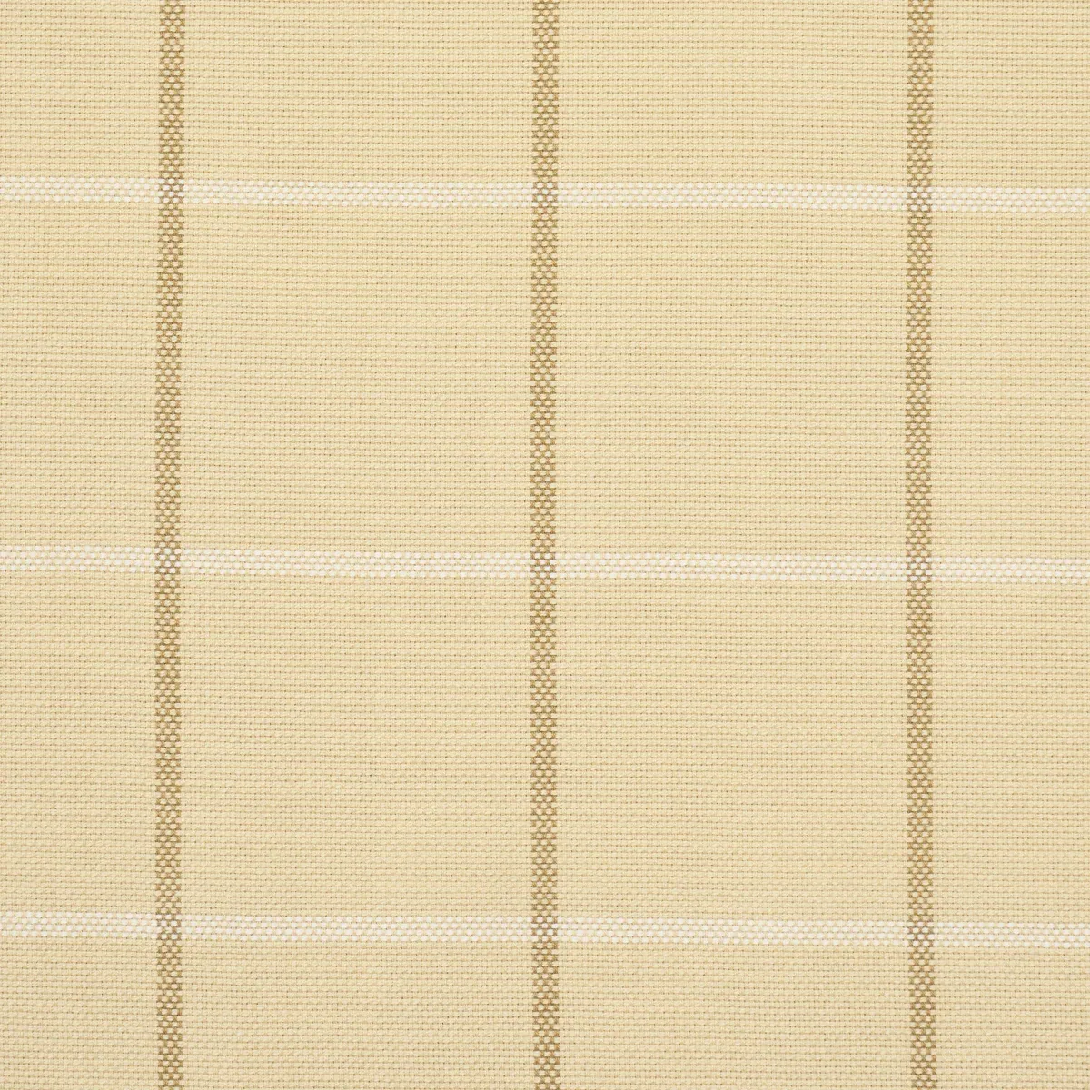 FRANNIE WINDOWPANE fabric CAMEL color by Schumacher