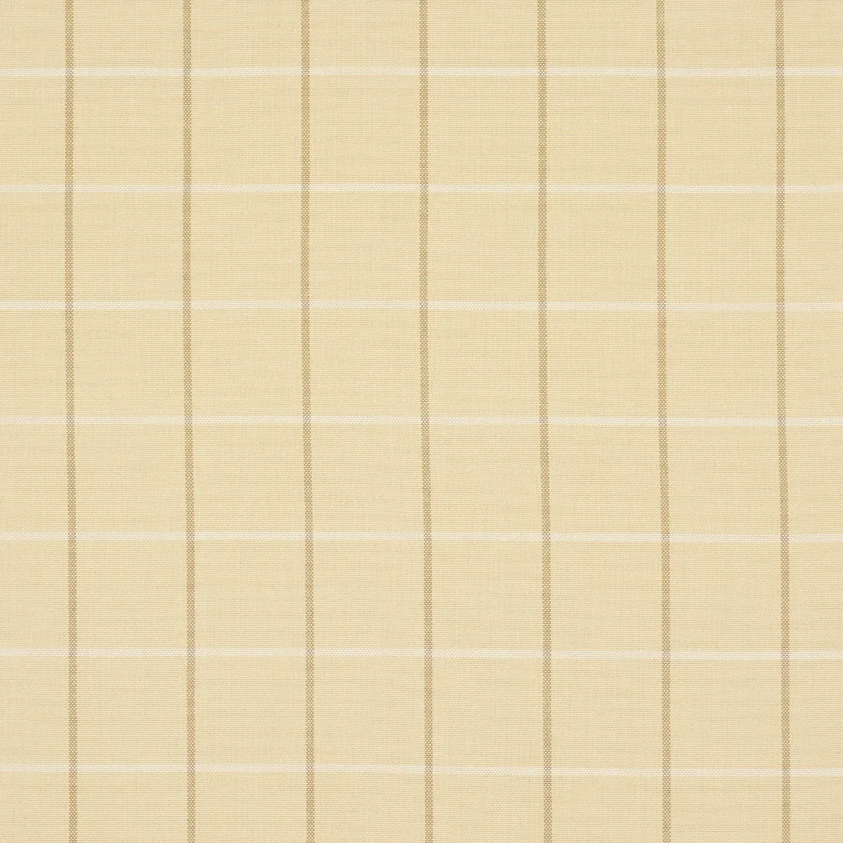 83780 | FRANNIE WINDOWPANE – CAMEL