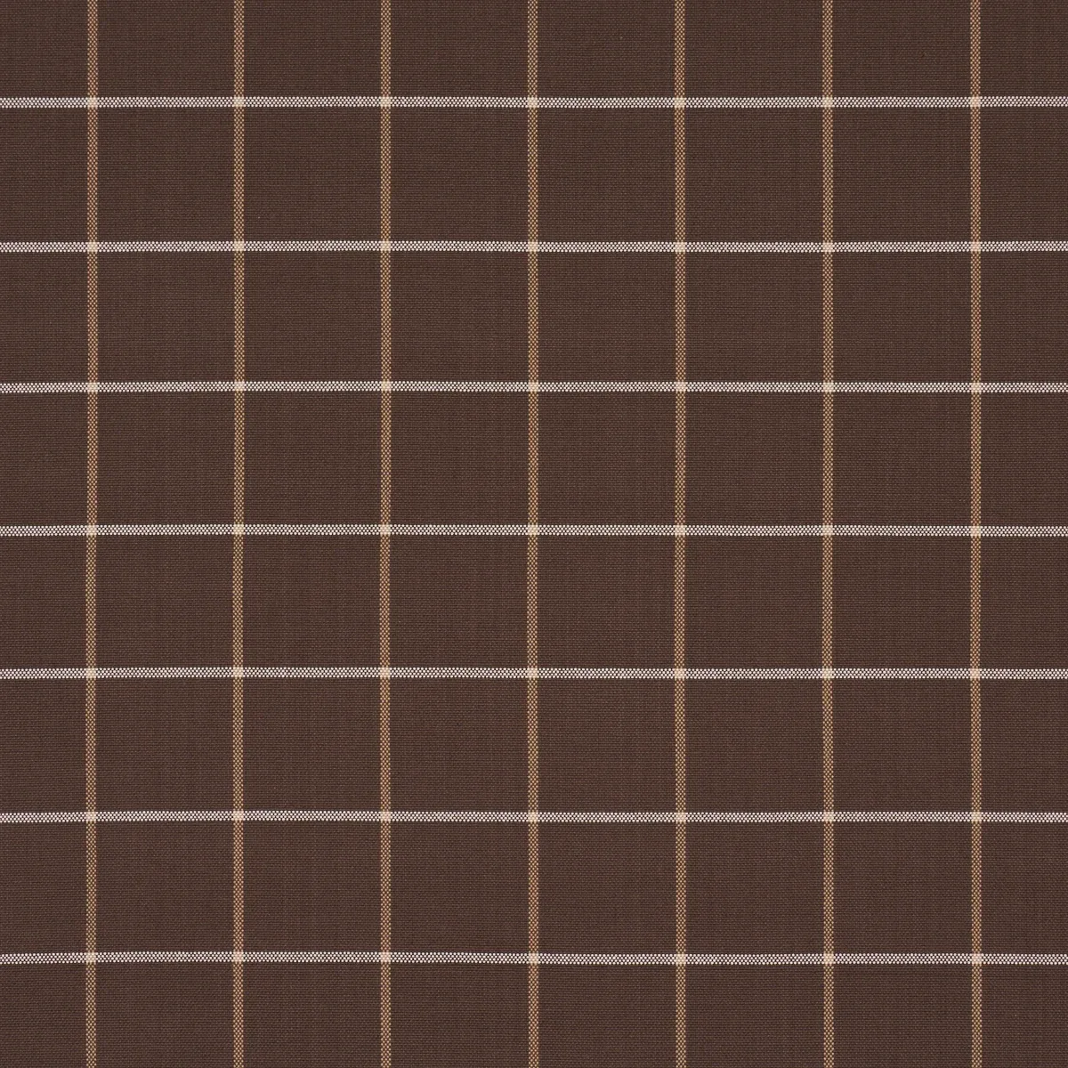 83788 | FRANNIE WINDOWPANE – CHOCOLATE