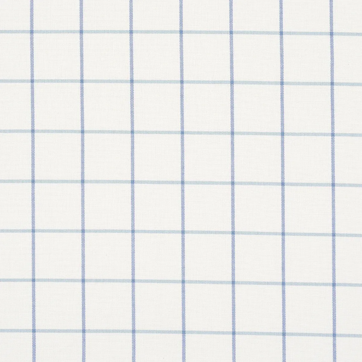 83784 | FRANNIE WINDOWPANE – COBALT