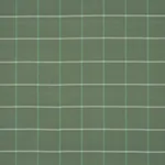 FRANNIE WINDOWPANE fabric GREEN color by Schumacher