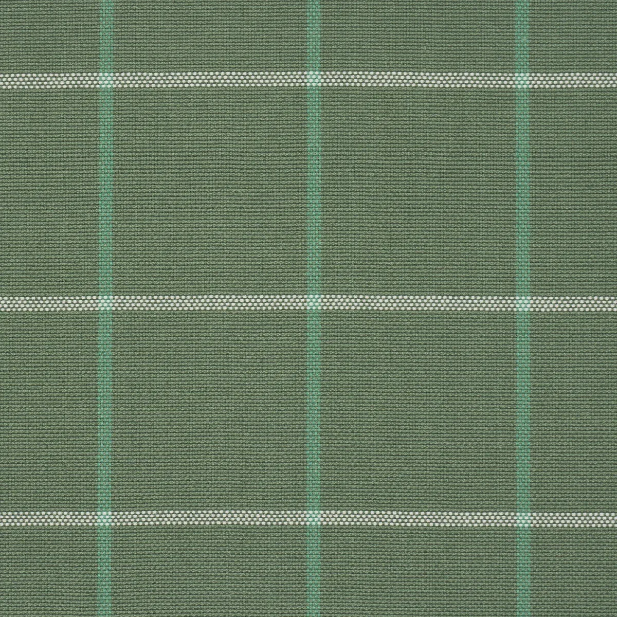 FRANNIE WINDOWPANE fabric GREEN color by Schumacher