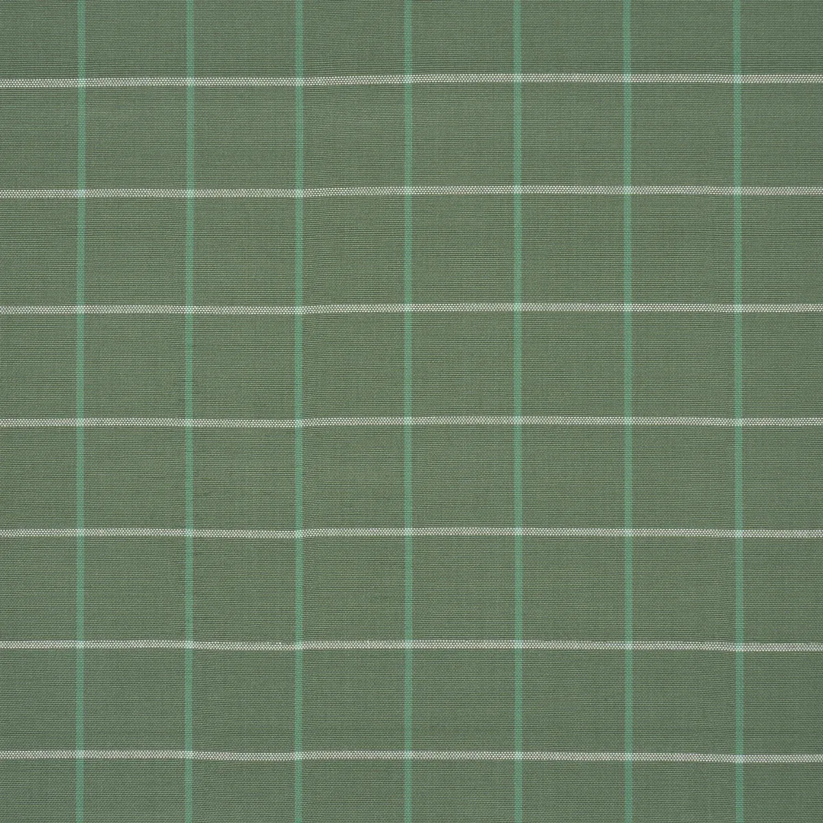 83783 | FRANNIE WINDOWPANE – GREEN
