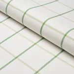 FRANNIE WINDOWPANE fabric LEAF GREEN color by Schumacher