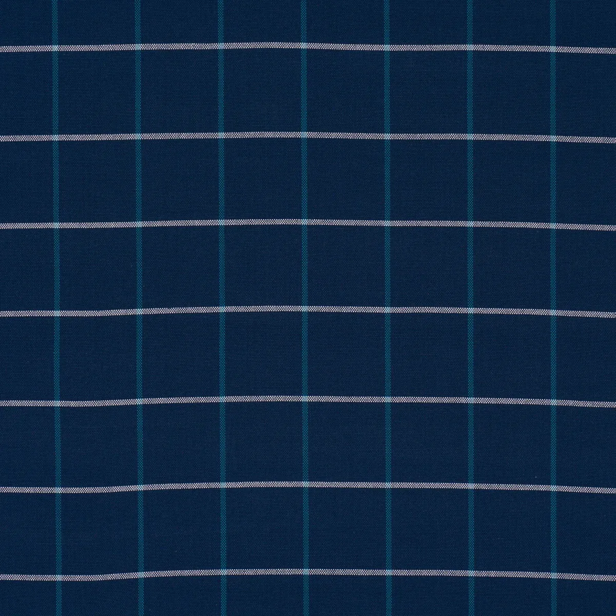 83787 | FRANNIE WINDOWPANE – NAVY