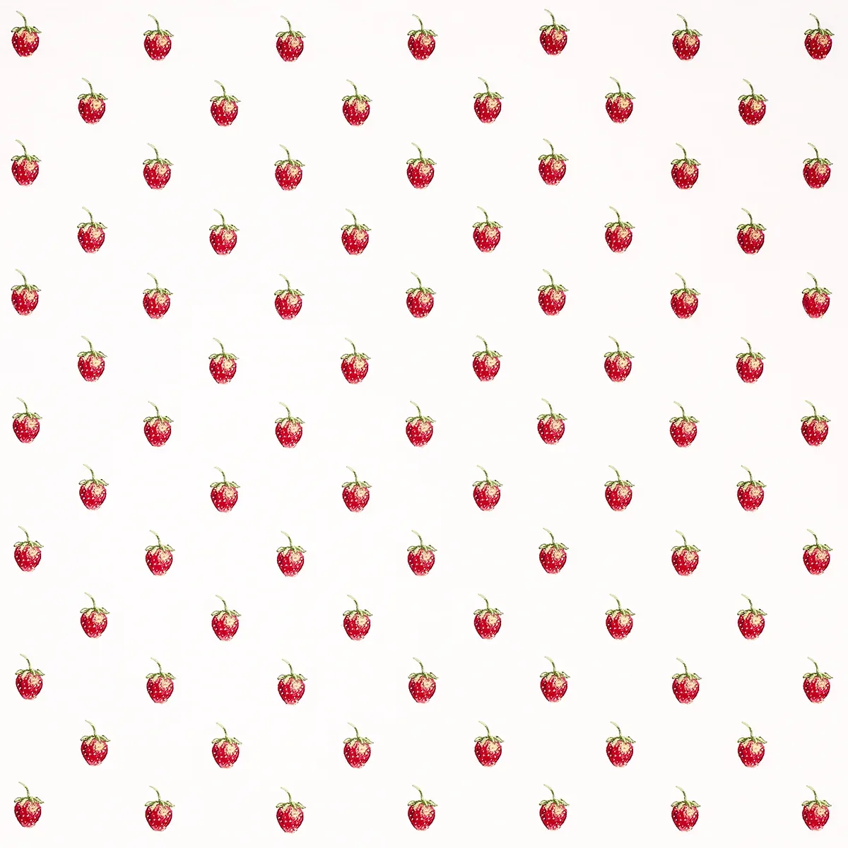 FRESHIE FRESH fabric IVORY color by Schumacher