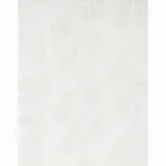 Gabriella Embroidered Sheer fabric IVORY color by Schumacher