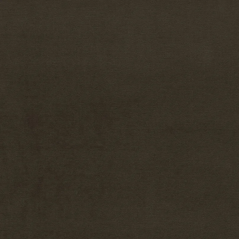 GAINSBOROUGH VELVET fabric ALPINE color by Schumacher