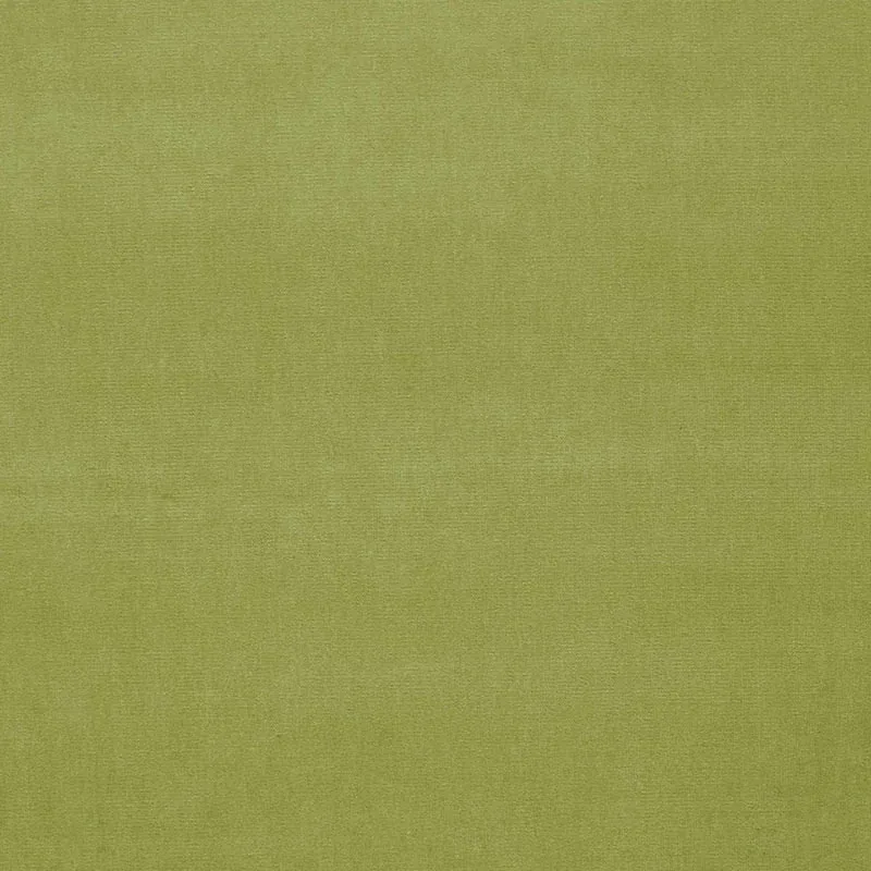 GAINSBOROUGH VELVET fabric CELERY color by Schumacher