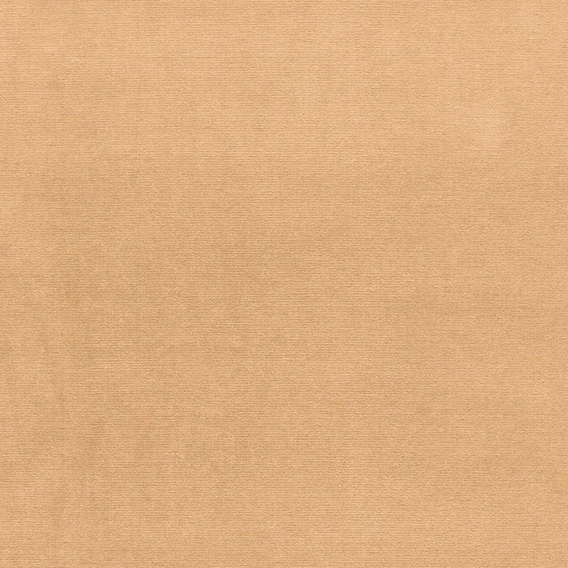 GAINSBOROUGH VELVET fabric CHAMOIS color by Schumacher