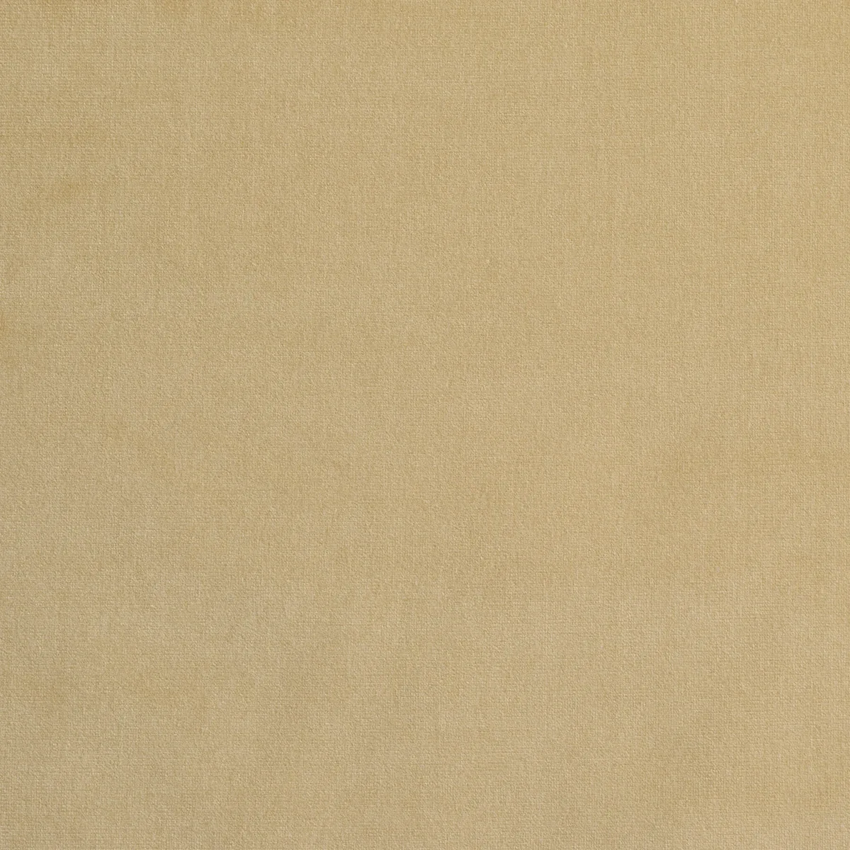 GAINSBOROUGH VELVET Fabric – CHAMPAGNE | Schumacher | Wallpa GAINSBOROUGH VELVET fabric CHAMPAGNE color by Schumacher