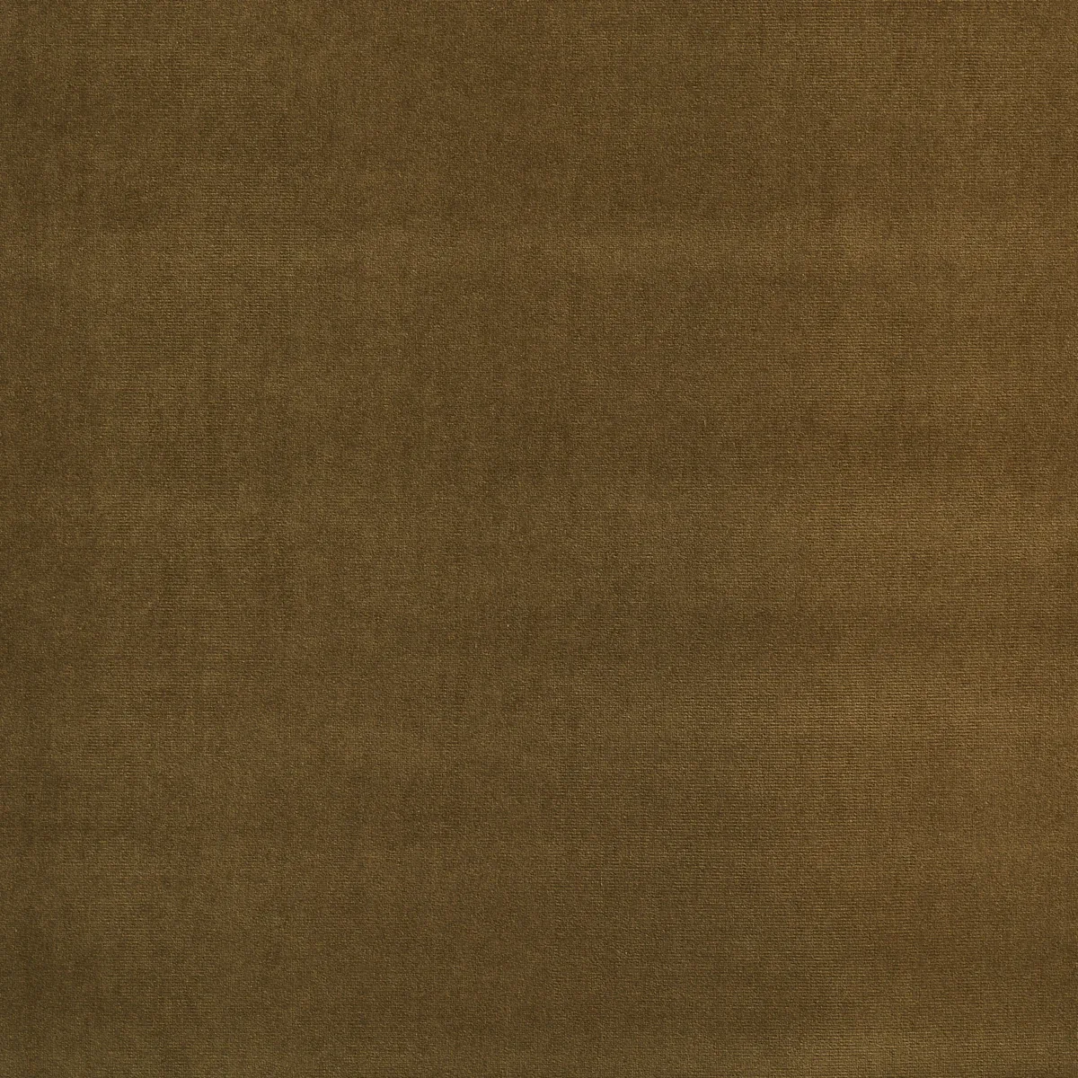 GAINSBOROUGH VELVET fabric CHANTERELLE color by Schumacher
