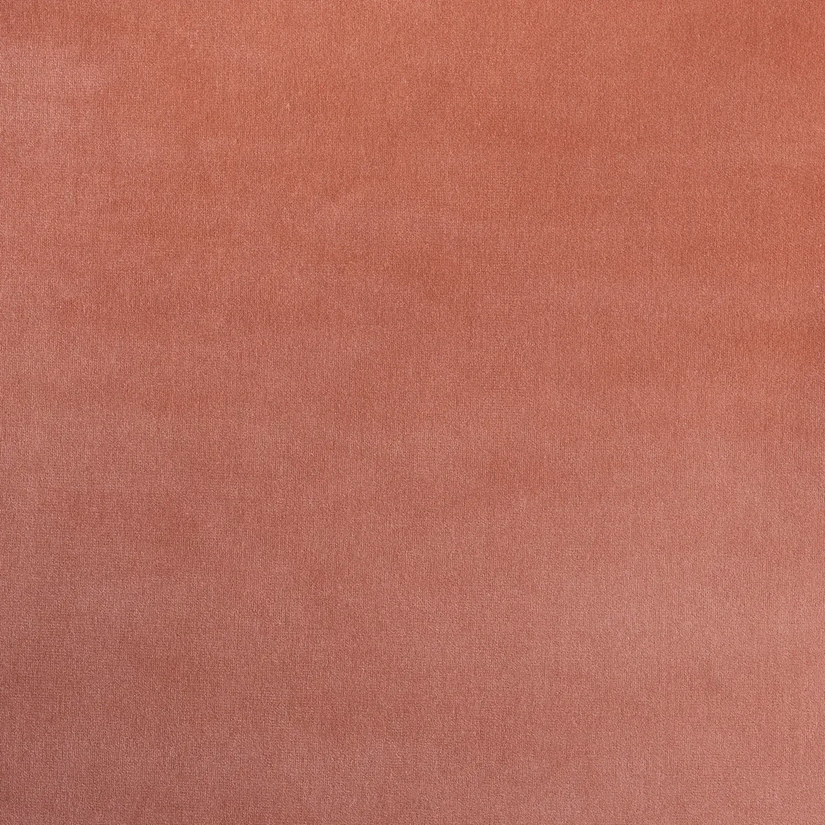 GAINSBOROUGH VELVET Fabric – CONCH | Schumacher | Wallpaper GAINSBOROUGH VELVET fabric CONCH color by Schumacher