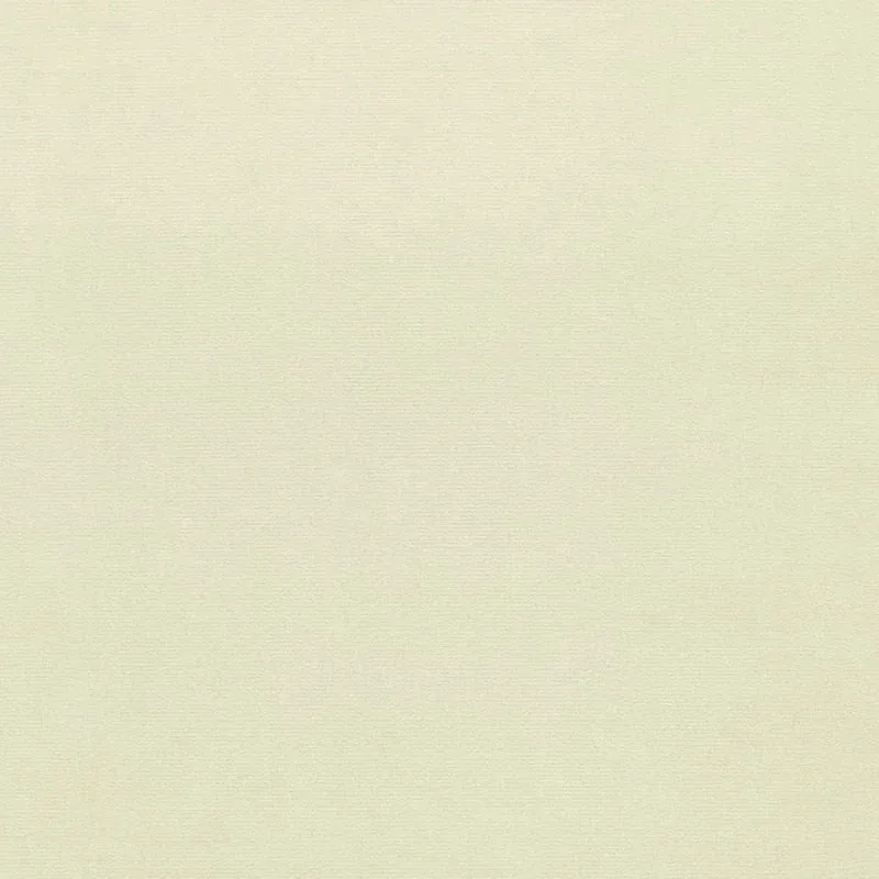 GAINSBOROUGH VELVET fabric CREAM color by Schumacher