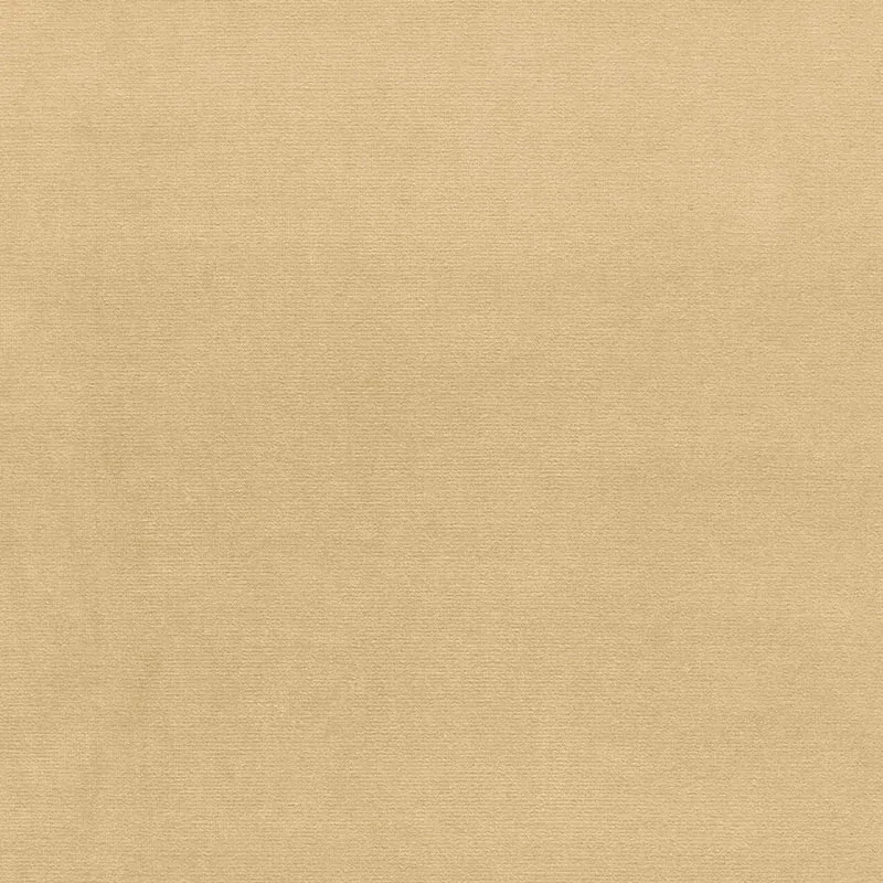 GAINSBOROUGH VELVET fabric ECRU color by Schumacher