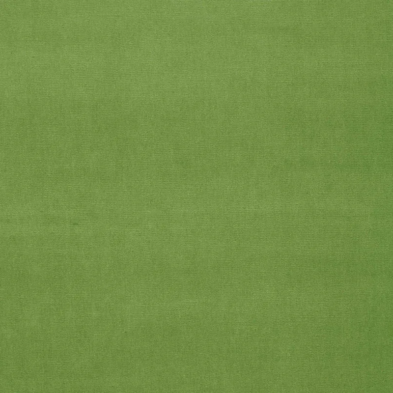 GAINSBOROUGH VELVET fabric GRASS color by Schumacher