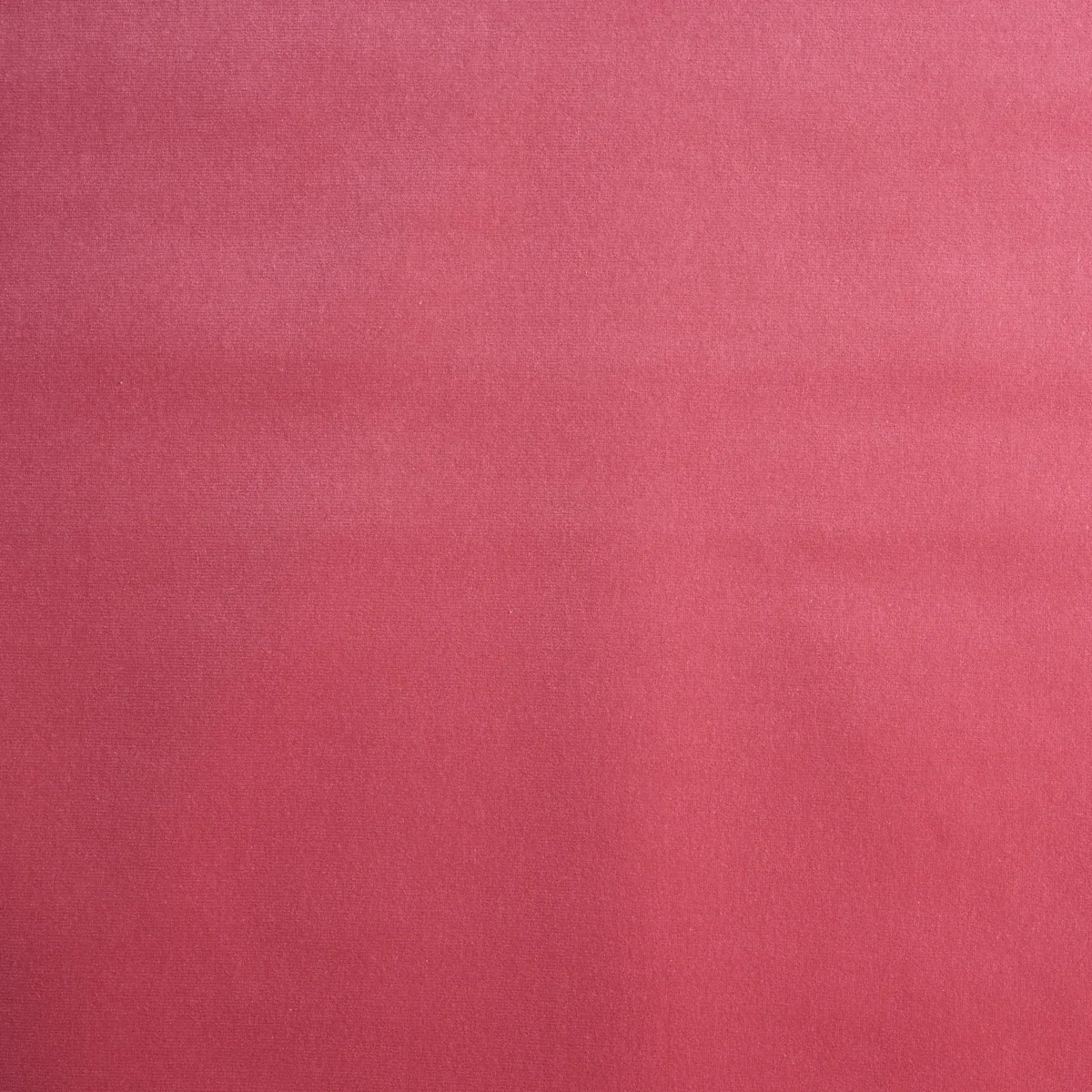 GAINSBOROUGH VELVET Fabric – HIBISCUS | Schumacher | Wallpap GAINSBOROUGH VELVET fabric HIBISCUS color by Schumacher