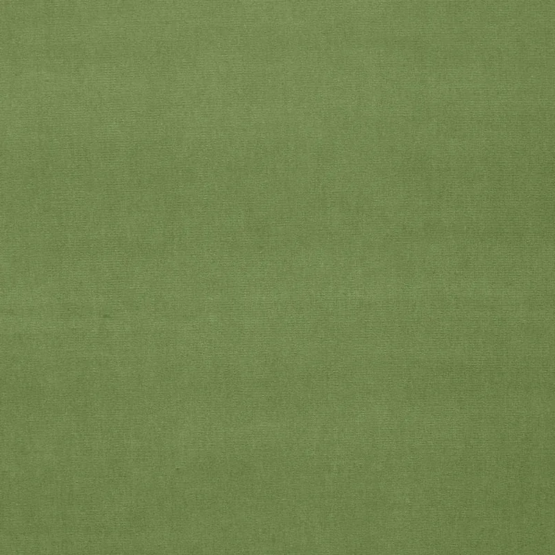 GAINSBOROUGH VELVET fabric LEAF color by Schumacher