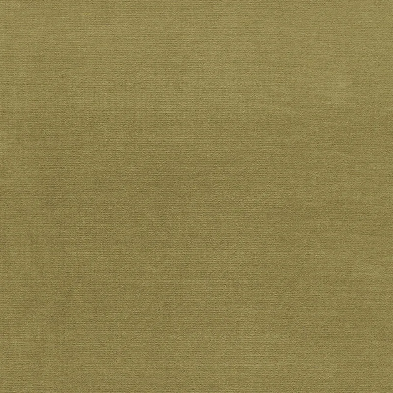 GAINSBOROUGH VELVET fabric LICHEN color by Schumacher